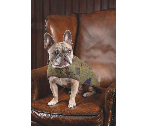 Shires Digby & Fox Tweed Dog Coat
