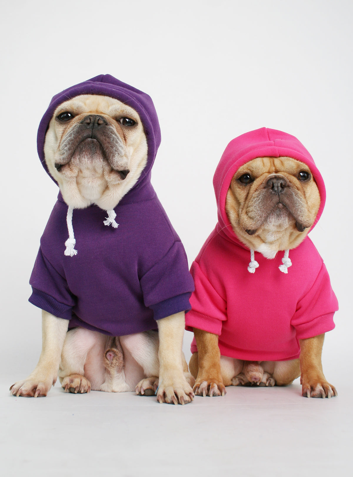 The Jasper Dog Hoodie