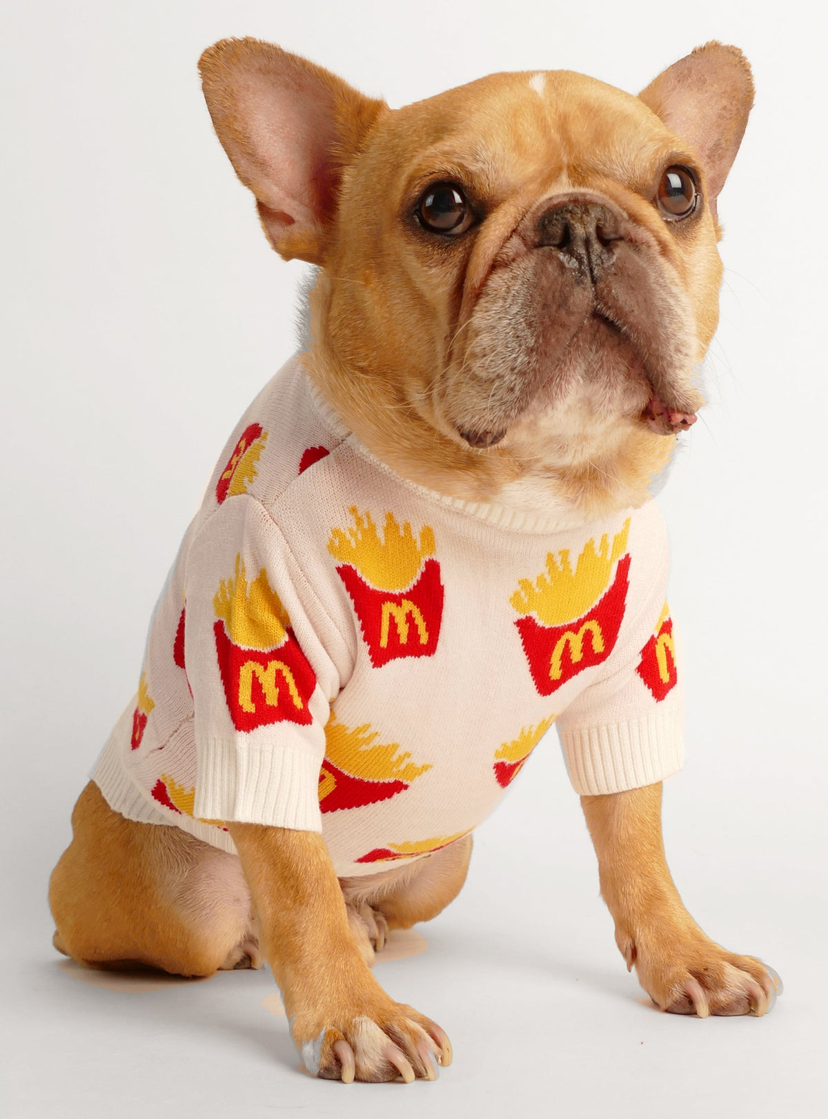 French Fried Dog Sweater
