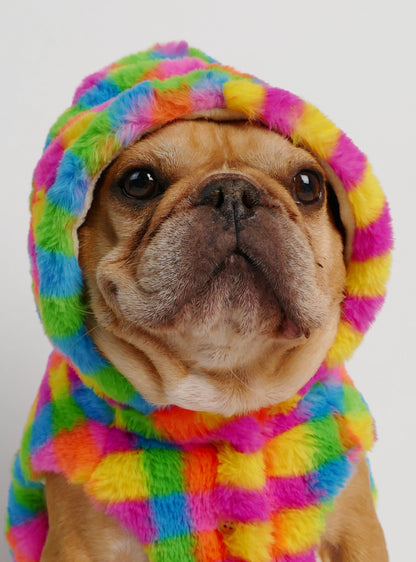 Technicolor Dog Hoodie