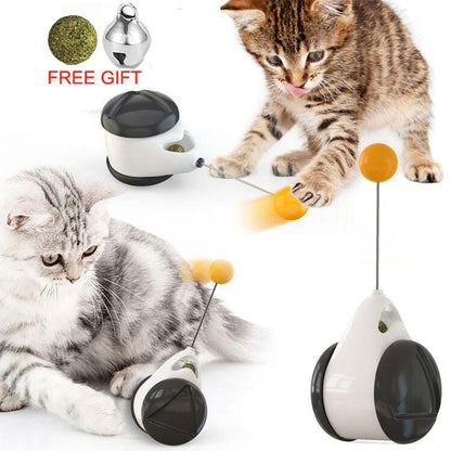 Smart Cat Catnip Toy with Wheels