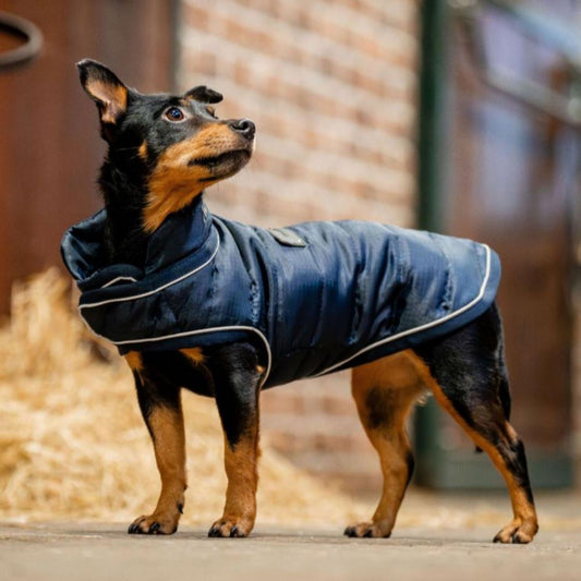 Horseware® Signature Dog Blanket (200g Medium)